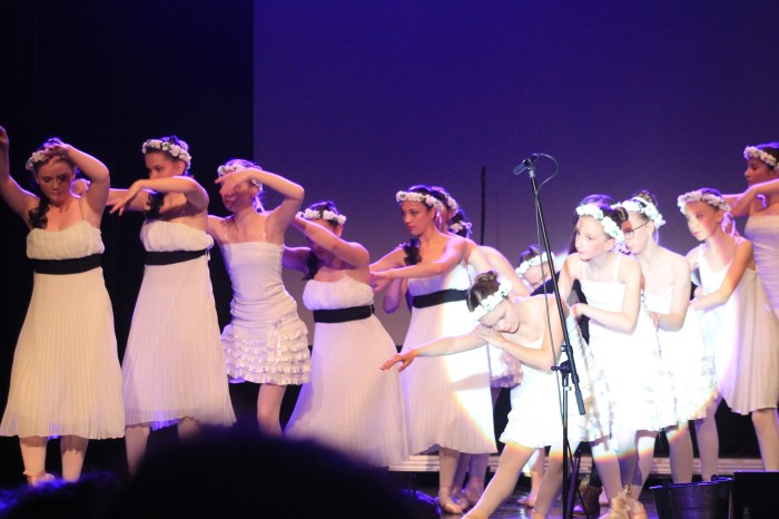 Mon histoire danseuses